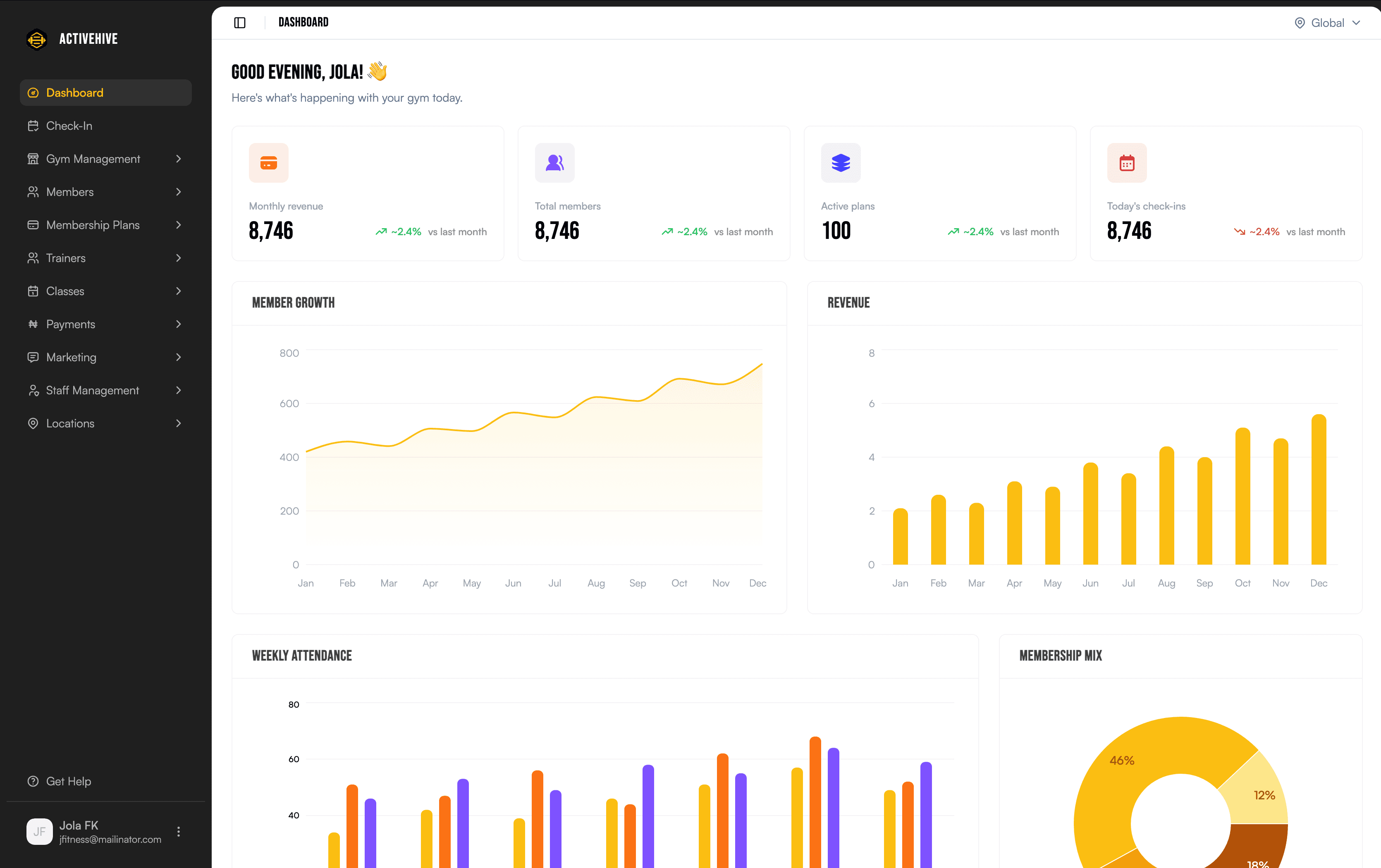 ActiveHive gym management dashboard showing member overview, class schedule, and revenue analytics